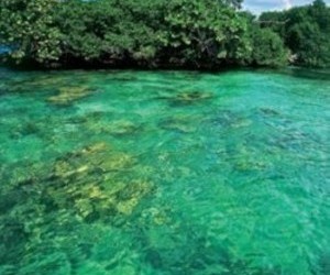 Isla Grande (Del Rosario Islands).  Source: www.revistaaeronautica.mil.co